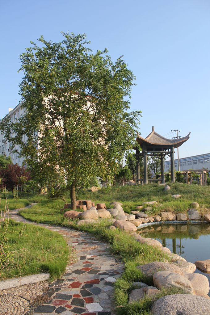 �S�^(q��)һ��